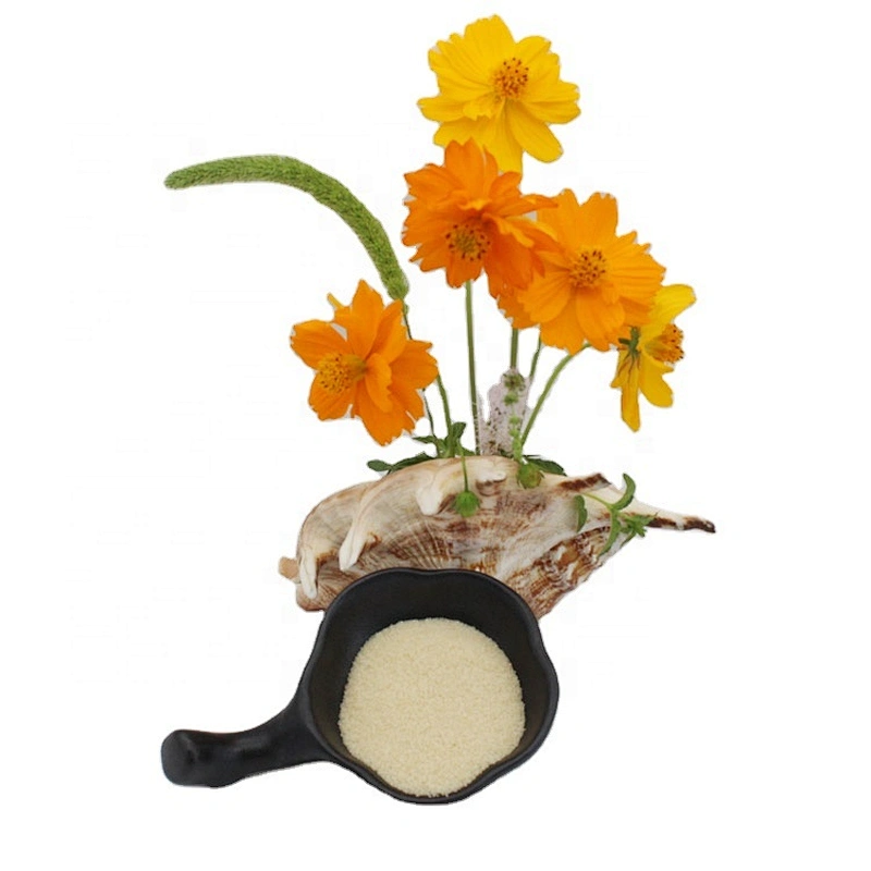 Professional Halal Edible Gelatina Food Grade Gelatin Powder 180bloom with Best Price